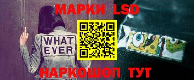 шишки Северобайкальск