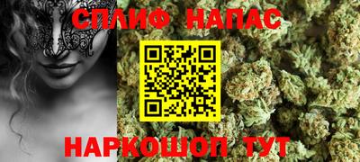 шишки Северобайкальск