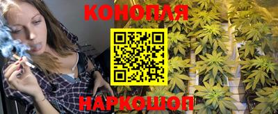 шишки Северобайкальск
