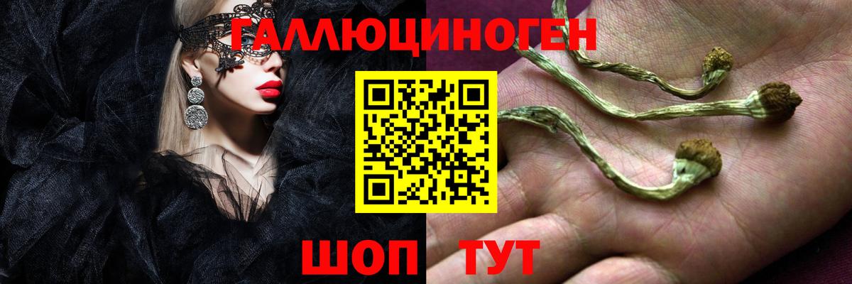Галлюциногенные грибы GOLDEN TEACHER  Вход с VPN  Псилоцибиновые грибы мухоморы  Санкт-Петербург 